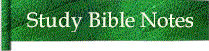 bibsoft2.gif (5330 bytes)