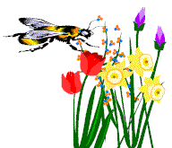 honey1.gif (7619 bytes)