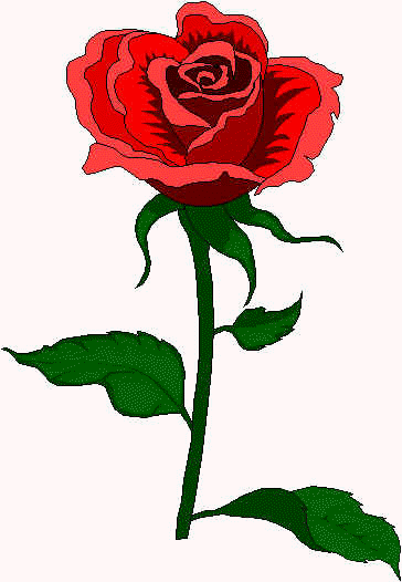 flower.jpg (22098 bytes)